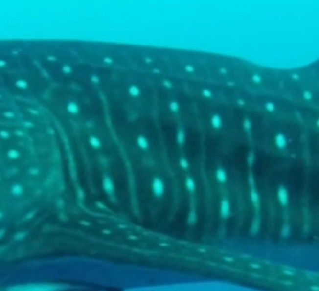 aae152c6-98c6-4a8e-b5f9-8be9e1033329