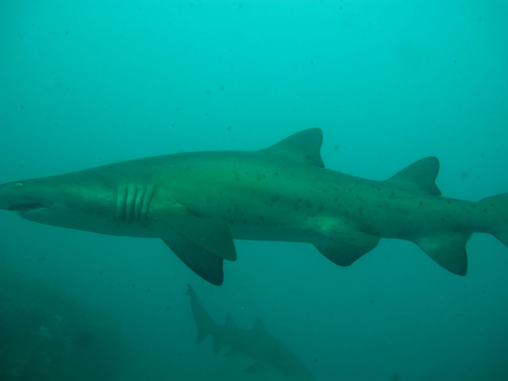 2083e0cf-7d45-419d-889f-55326a255065