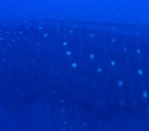 b41193a5-feb6-403d-a1b3-57c4c3e37a71