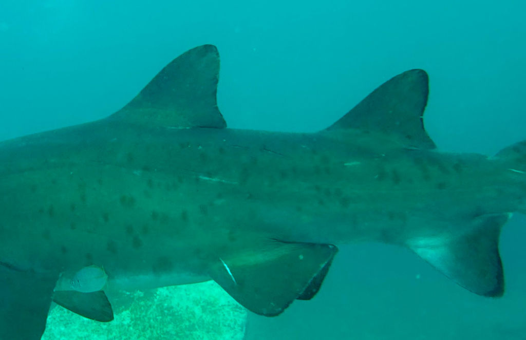 eca169eb-1c7f-4570-b660-6ecb947eee8c