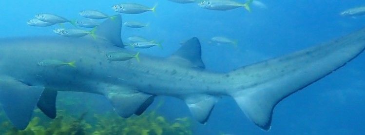 2830440e-90b5-421e-b4d3-bf2ec60e34fa