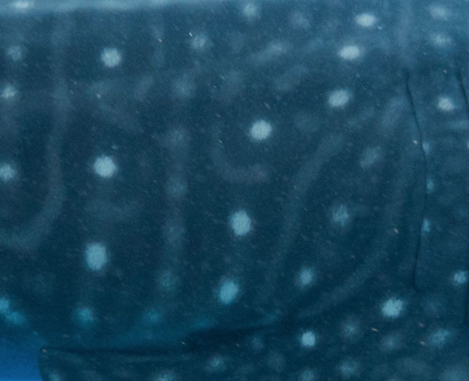 5ac5bb89-1d8a-4b28-bc38-2bc9a9caf57a