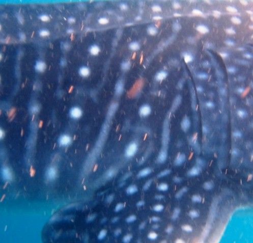 3a6757e3-be1b-412c-a69e-269733b5236c