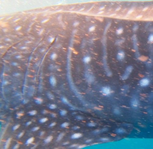 3a6757e3-be1b-412c-a69e-269733b5236c