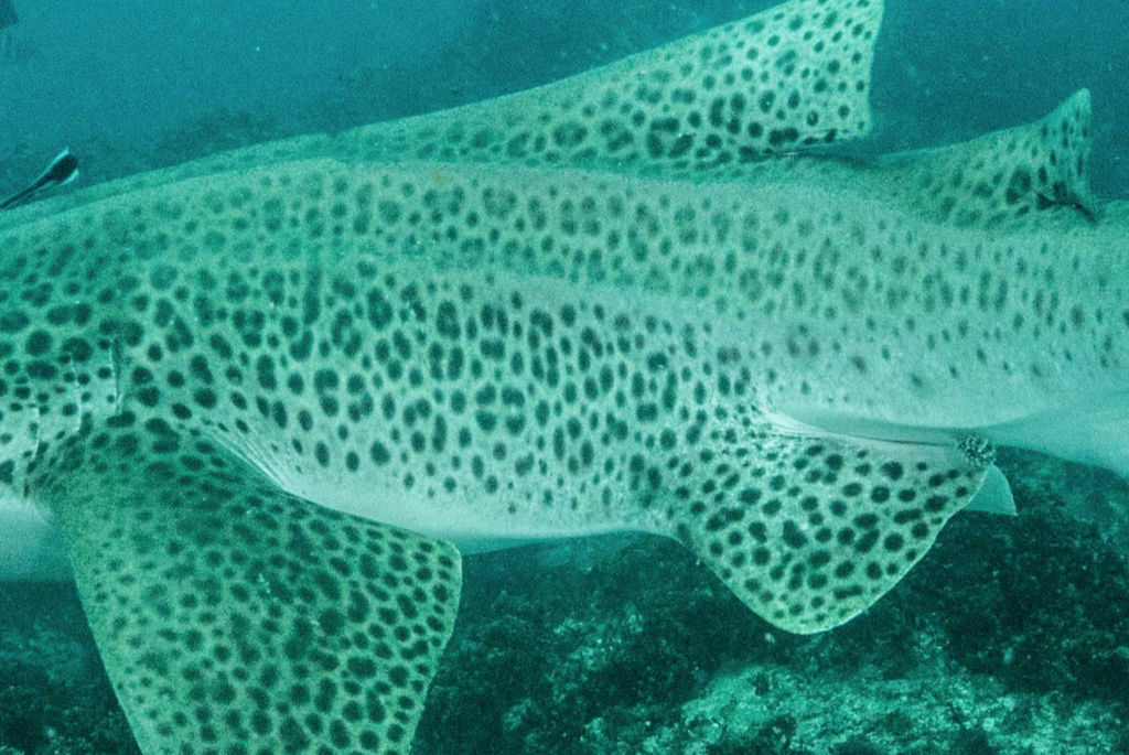 ecb95f7a-bff3-4fee-93f7-96b728648e2e