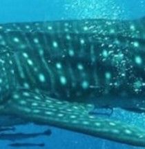 1147d80d-18e6-4487-beee-2c9f76bdf16d