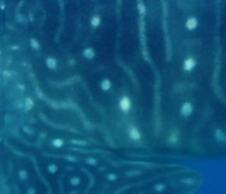 68ec002f-e665-4e7c-9fc0-4c9be9182270