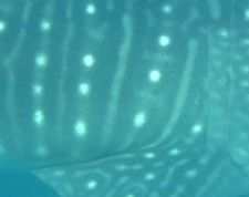 60e4a98c-dffc-4c3e-8b1c-889cec729f9d