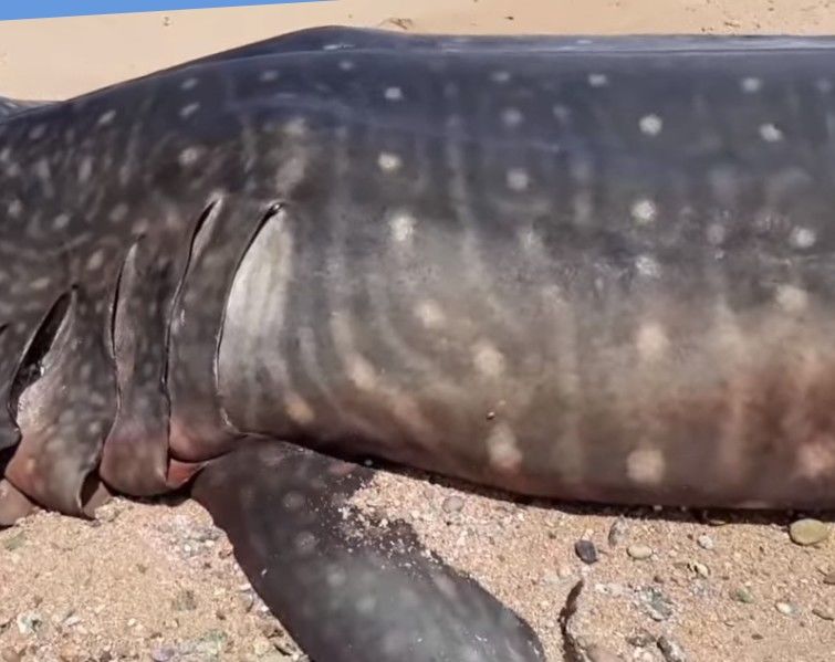 e01ef020-3244-4bee-b310-bb61c1e75bcb