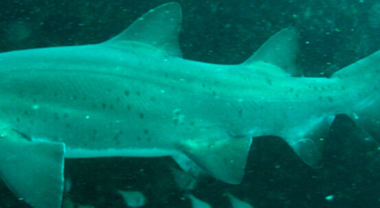 8ea85286-2044-485e-bfca-60350e22a76f