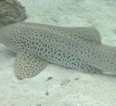 7b0e23bc-4285-4805-af1a-3e2414de75c7