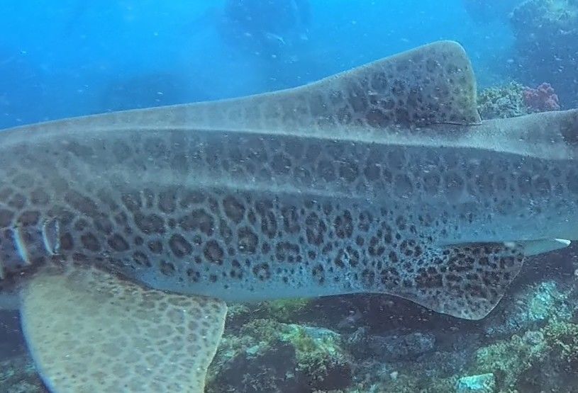 c91419c8-9001-436e-9e49-48d96167deba