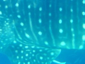 fa3167b3-522d-4e1d-9938-d26da0badde5