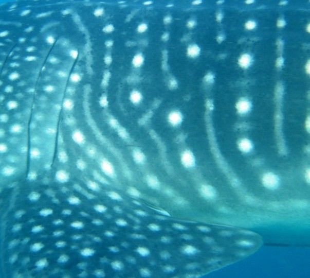 8e33aef3-1a9a-487c-b849-23d5f607f90b