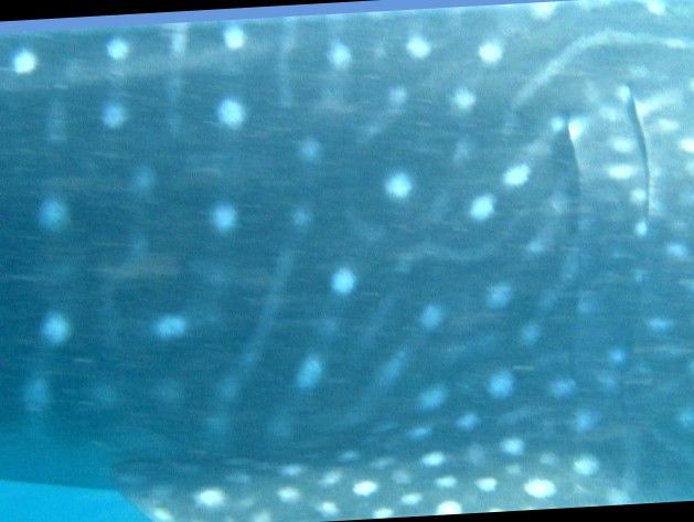 8e33aef3-1a9a-487c-b849-23d5f607f90b