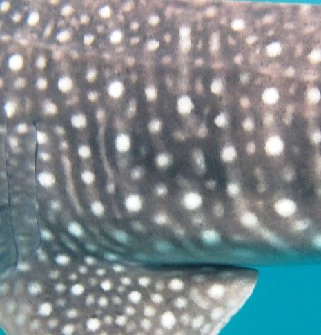 2369f1c5-a5be-4940-9baa-6ffcca7ca283