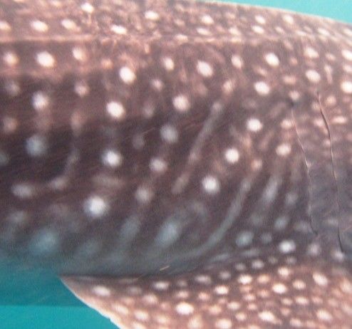 2369f1c5-a5be-4940-9baa-6ffcca7ca283