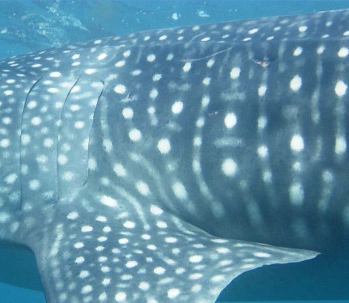 b2ddcebe-79ac-4cc0-bc53-1e7a94093db8