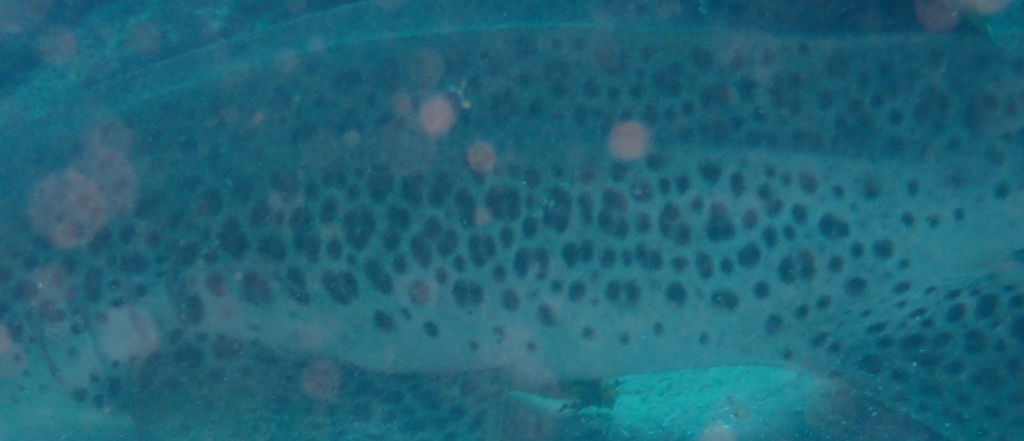 757db01b-343e-4d77-ae87-f54fcfd2884c