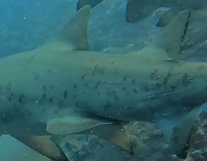 45a9f87b-291f-4d2d-a9c5-2c80aa43c9cb