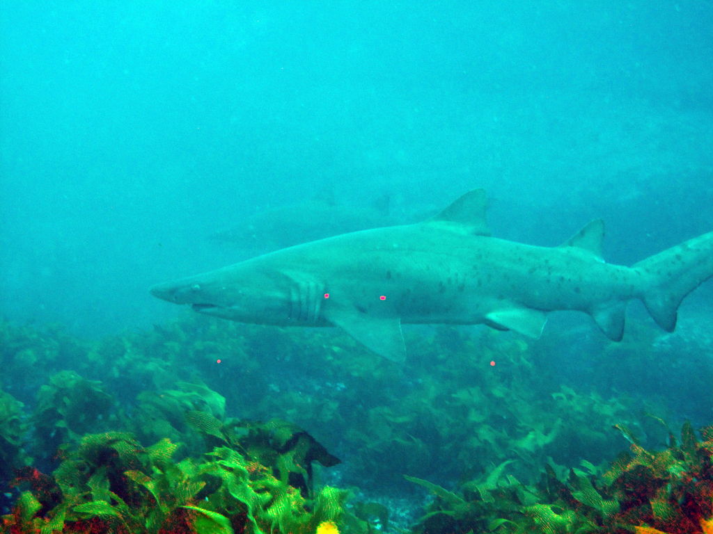 c601e735-aa86-4032-b066-a84ac664ab2f