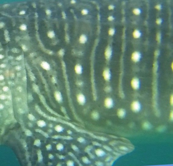 a4cecd0d-8340-4e6c-9a57-38555991cb70