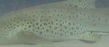 a91e79a9-082d-4a73-b5a5-e1ce7b174027