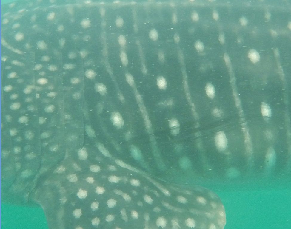 5320e84a-a425-467d-a9e0-33d847331bdf