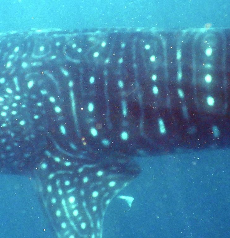 b389ccc2-e3e3-44a8-9175-783358bf7c19