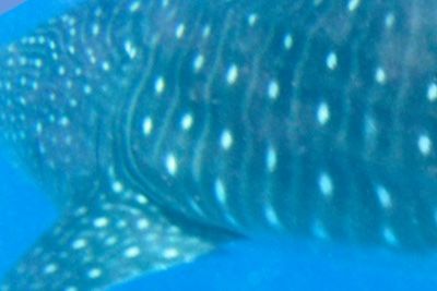 e4eff621-3354-47a7-b627-83b43c33a185