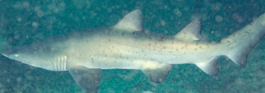 1f59f93b-4f60-46ca-af3f-b14902574ee8