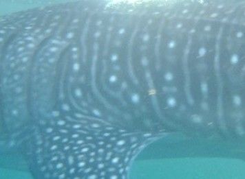 4887e5b8-1dab-498e-8403-bb4795f4b32d