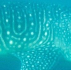 4887e5b8-1dab-498e-8403-bb4795f4b32d