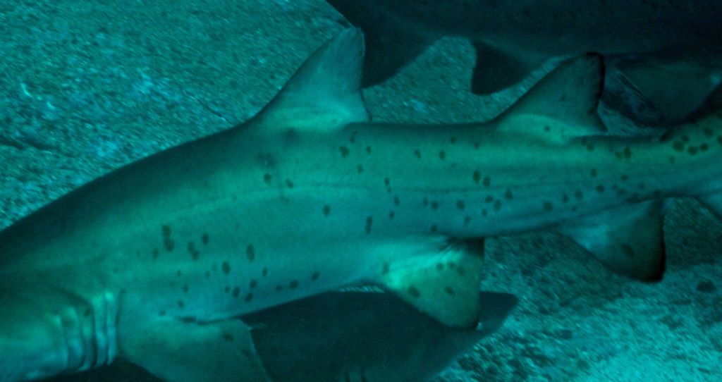 6bdaf235-d0a9-4eb8-98a0-725a2cc62190