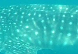 e5d7bd95-9783-4791-a71f-1e2b515e077f