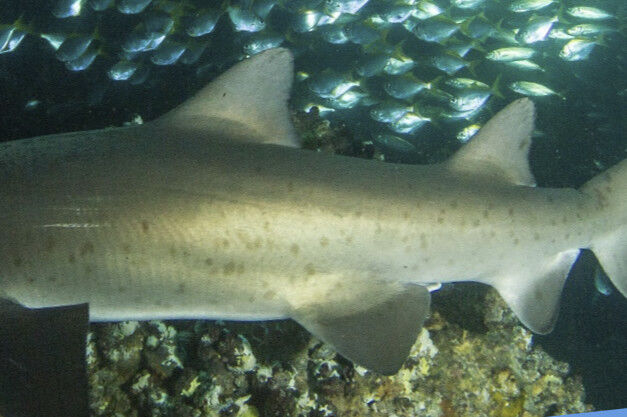 95f6b9e7-eaa1-4be4-a5ee-162bc062a873