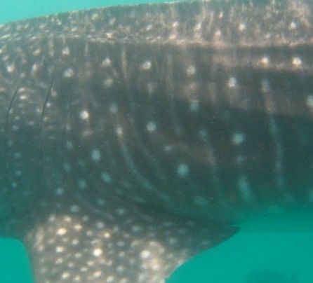 73c82212-cada-4aa0-bcb9-cc4d090f2141