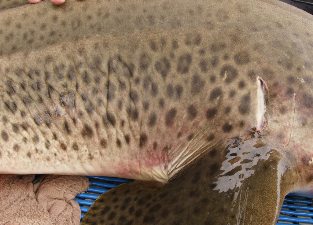 b7efd13c-3344-4132-93c3-73fdd5471348