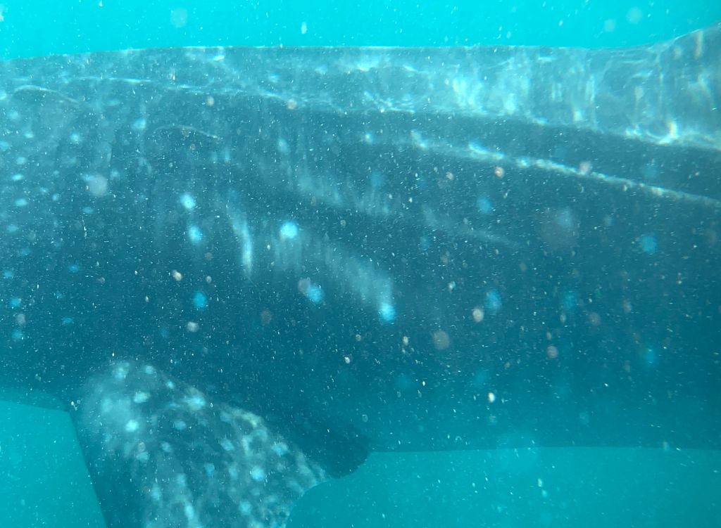 594bc352-78da-4bba-8c11-5f93c33c92d5