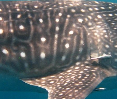 b7b33171-0e88-4106-93ec-1109cfdecaf9