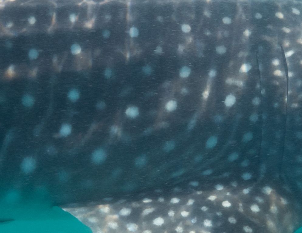 df852c0b-f4ba-431e-ab6b-95c8e63412c5