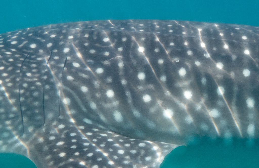 df852c0b-f4ba-431e-ab6b-95c8e63412c5