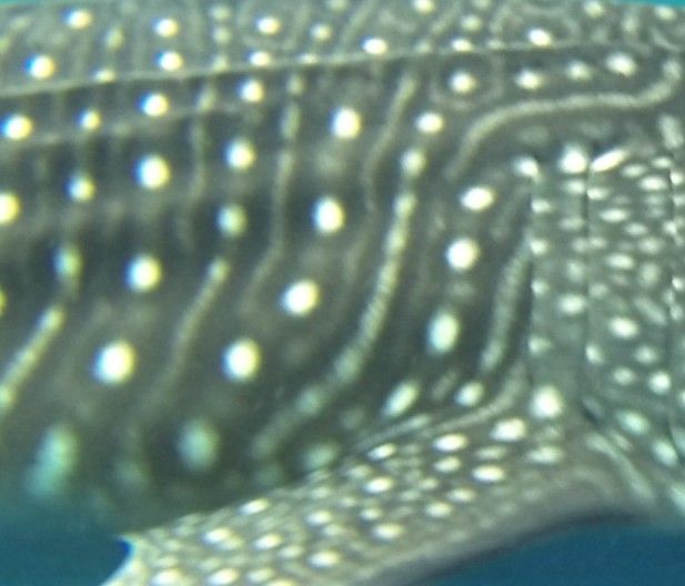 0b3e0915-385d-419e-87b3-902bc1774d46