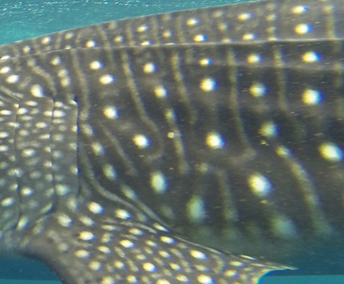 0b3e0915-385d-419e-87b3-902bc1774d46