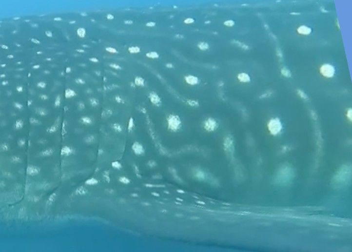 eb5faf9e-ed2b-437b-8c0e-17859e5e1bed