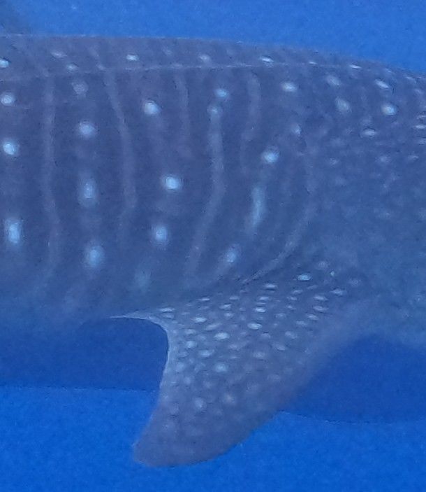 f2aef6b7-0329-43dd-80d0-aa9b50d5ca12