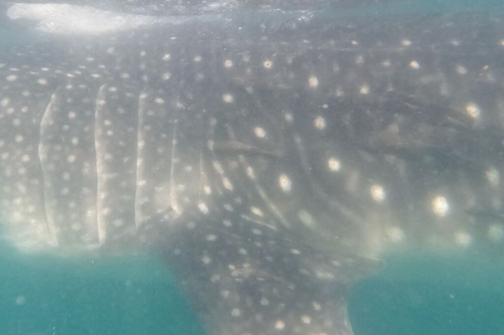 cc0f3188-70f3-4001-a19a-f4582780544a