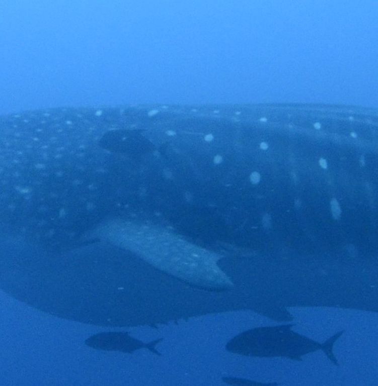 c57540a7-f01d-47ed-9496-cc189bc09d3e