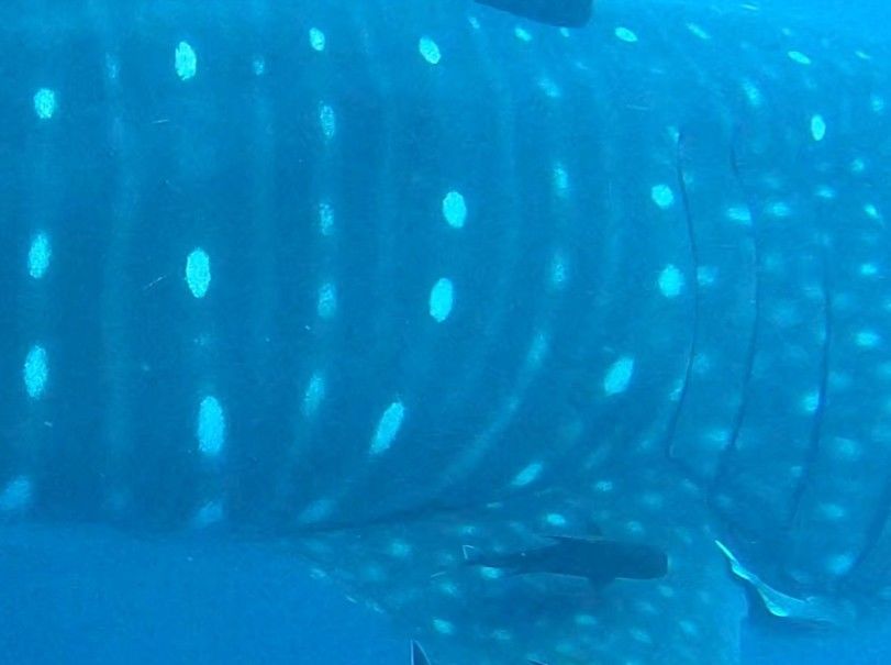 c57540a7-f01d-47ed-9496-cc189bc09d3e