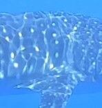 68b4d792-1b1d-4de5-93fa-e5459b1531ef